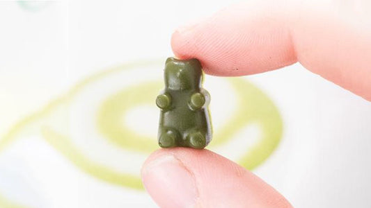 Encha Matcha Gummy Bears