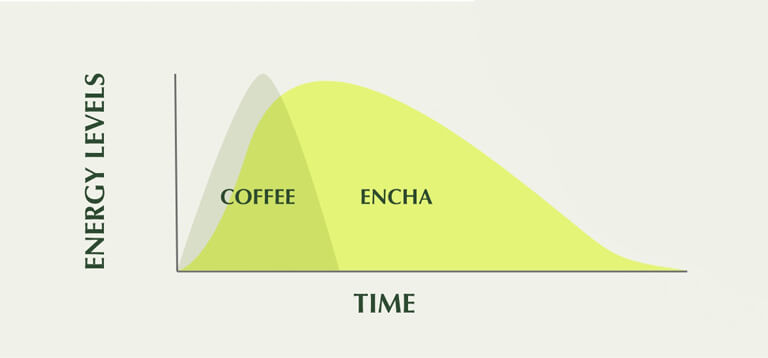 mobile version of an Energy level graph showing the difference between coffee and Encha tea over time