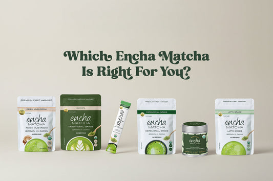 Which Encha Matcha is Right for You? The Range Explained