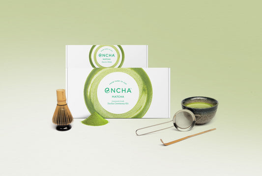 Best Matcha Tea Kit for Beginners