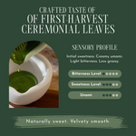 Promotional graphic for ceremonial tea leaves, featuring a photo of green tea being poured into a white bowl on the left, and text on a dark green background describing the sensory profile and rating scales for bitterness, sweetness, and umami.