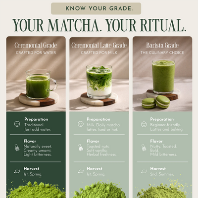 An infographic titled 'YOUR MATCHA. YOUR RITUAL.