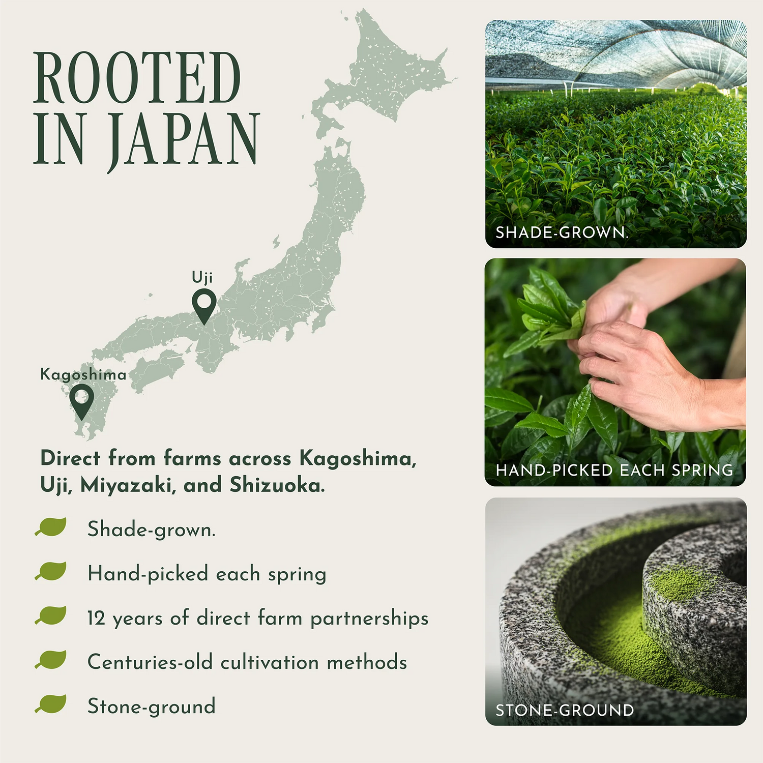 Promotional graphic for Japanese green tea, featuring a map of Japan, text about direct farm partnerships across Kagoshima, Uji, Miyazaki, and Shizuoka, and three inset photos showing shade-grown tea fields, hand-picked tea leaves in spring, and stone-ground processing.