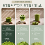 Encha Ceremonial Grade Matcha Powder