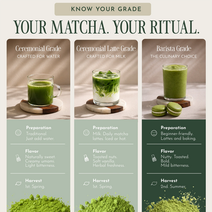 An informational graphic titled 'YOUR MATCHA. YOUR RITUAL.