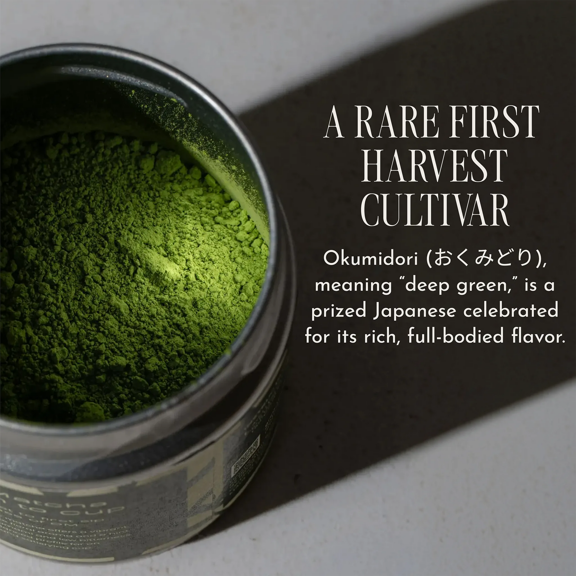 An open metal tin filled with bright green matcha powder, shown on a light surface with a dark shadow and white text reading 'A RARE FIRST HARVEST CULTIVAR' and a description of Okumidori.