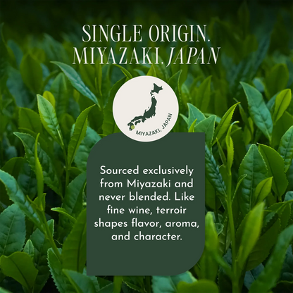 Promotional graphic for Miyazaki tea leaves, featuring a close-up background of green tea leaves with white text reading 'SINGLE ORIGIN. MIYAZAKI, JAPAN' and a dark green text box stating it is sourced exclusively from Miyazaki and never blended.