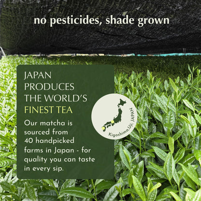 Encha Matcha Latte Powder Sweetened - Lightly Sweet Matcha Powder