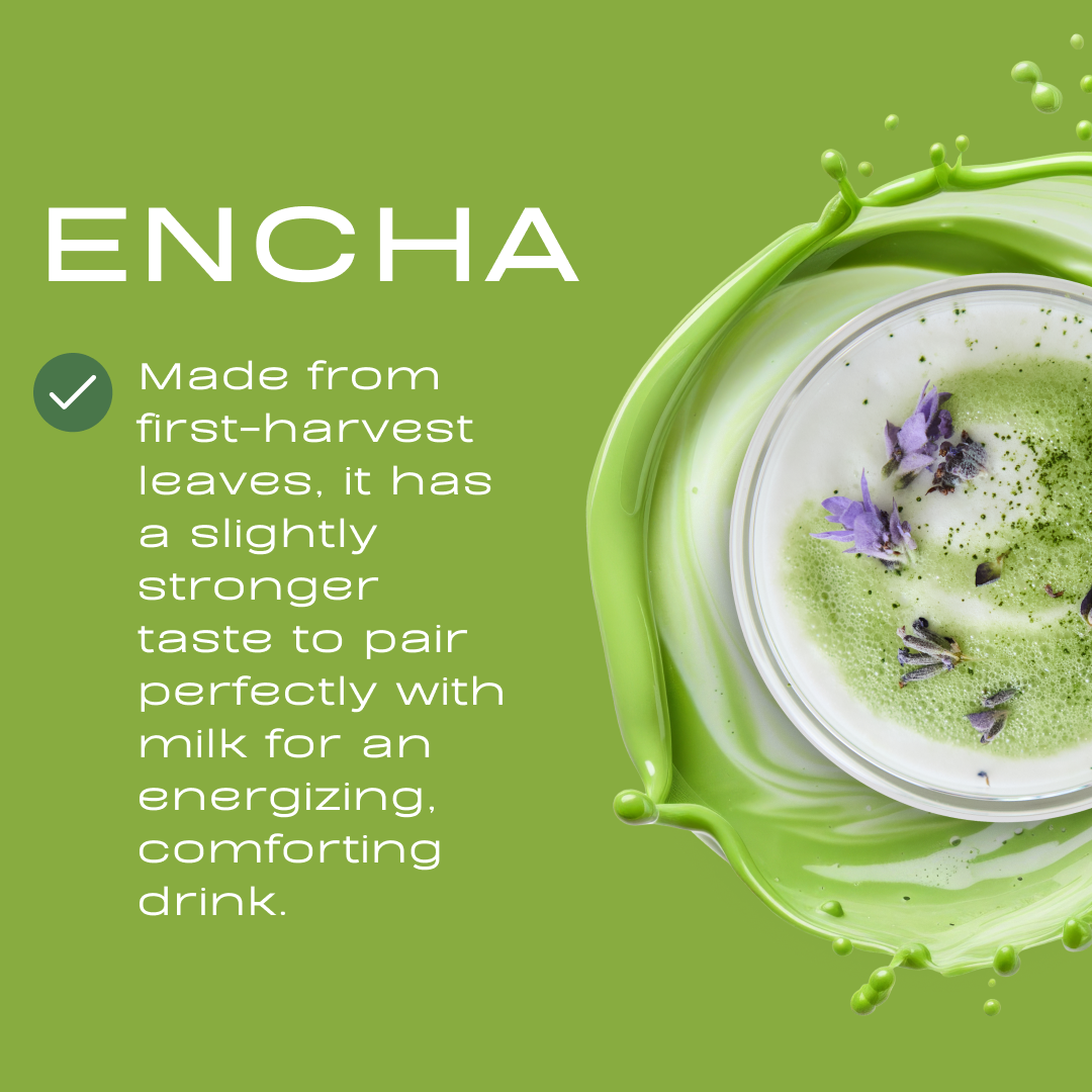 Encha Latte Grade Matcha Powder