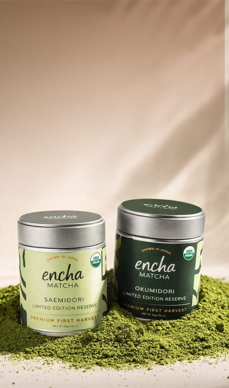 Encha Matcha, Organic Green Tea Matcha from Uji, Japan