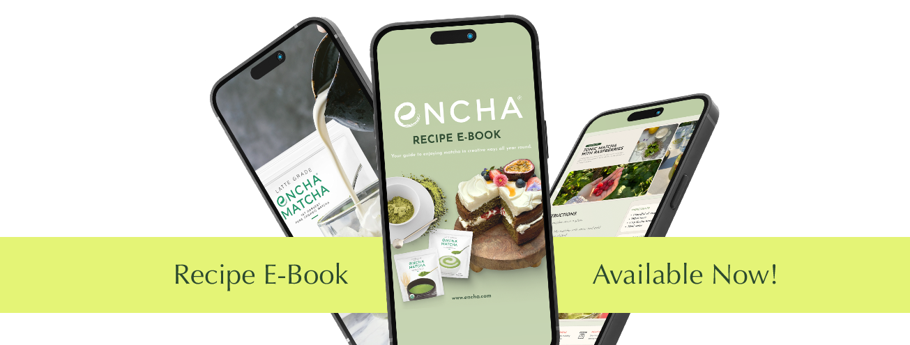 Recipe E-Book
