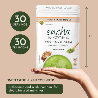 Encha Matcha Latte Powder - Reishi Mushroom