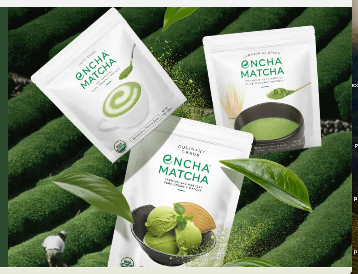 Encha Matcha, Organic Green Tea Matcha from Uji, Japan